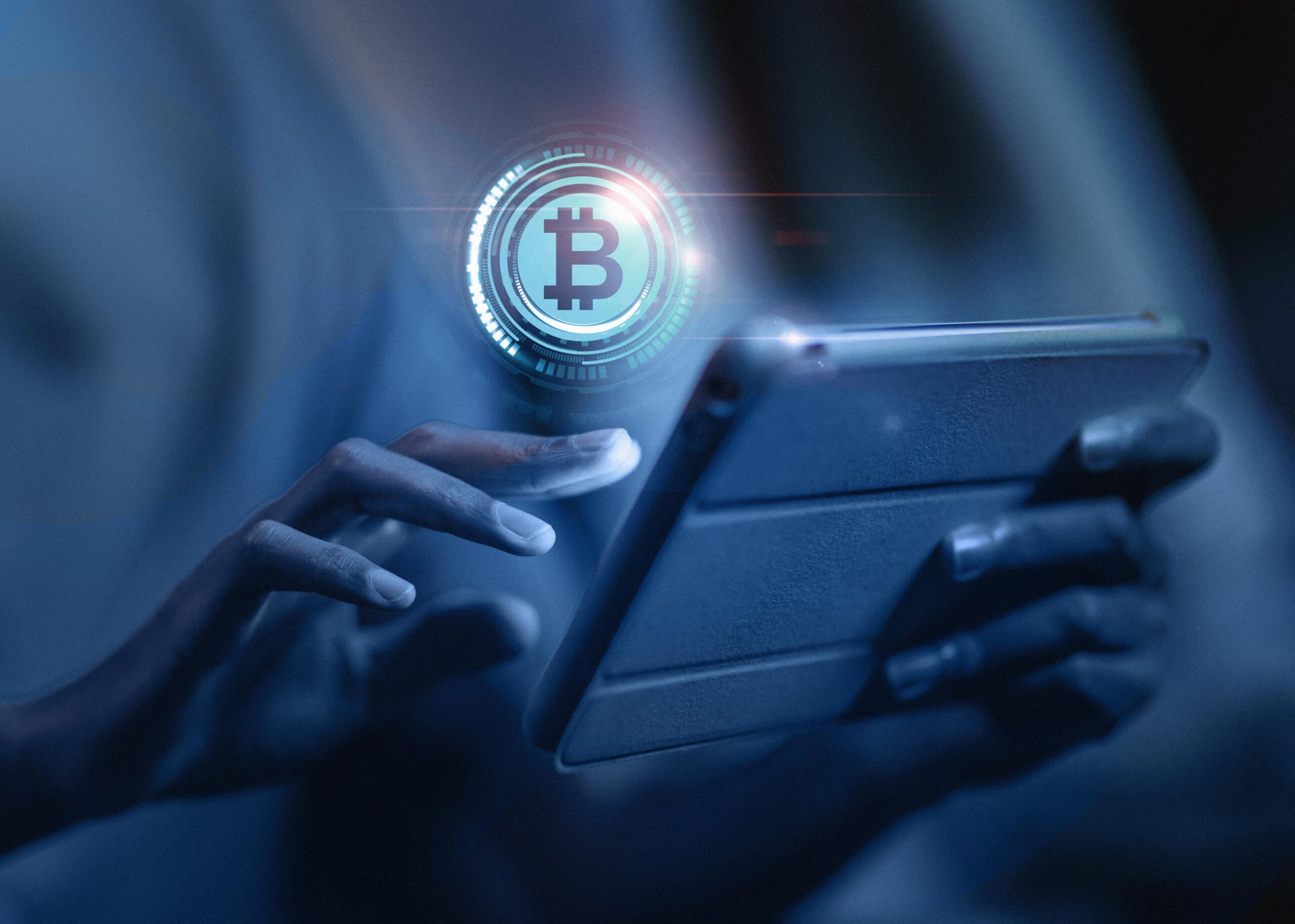 Fake Bitcoin Transaction